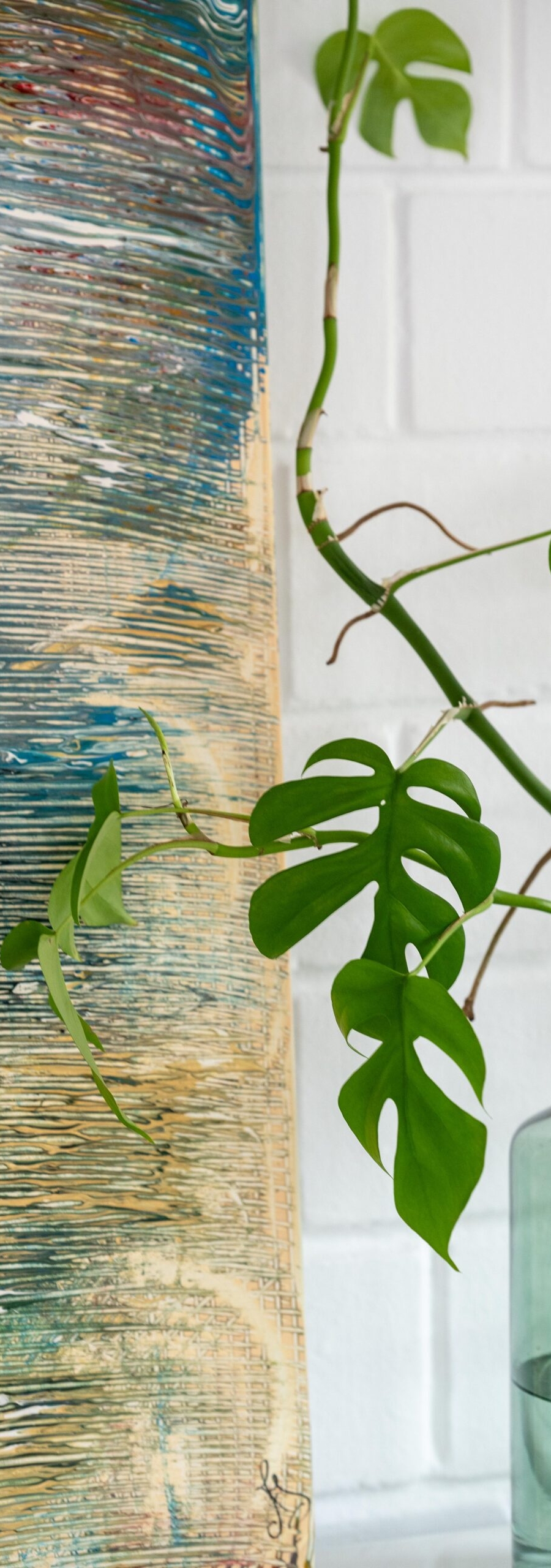 Sony_2024-03-30_00250_Final